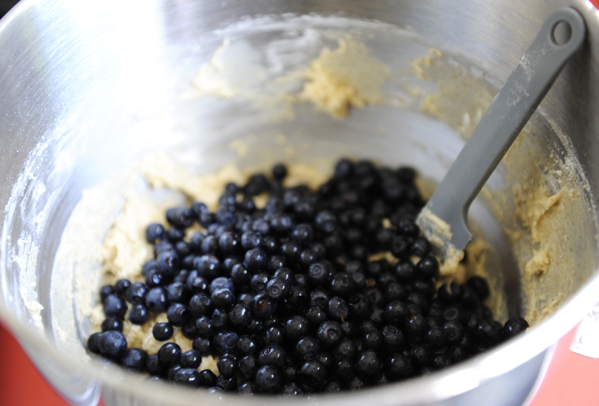Heidelbeeren auf Teig, die dann mit größter Sorgsamkeit eingearbeitet werden